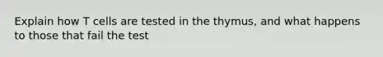 Explain how T cells are tested in the thymus, and what happens to those that fail the test