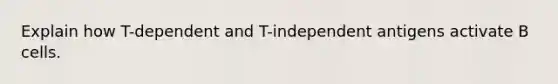 Explain how T-dependent and T-independent antigens activate B cells.