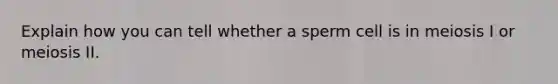 Explain how you can tell whether a sperm cell is in meiosis I or meiosis II.