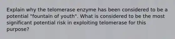 Explain why the telomerase enzyme has been considered to be a potential "fountain of youth". What is considered to be the most significant potential risk in exploiting telomerase for this purpose?