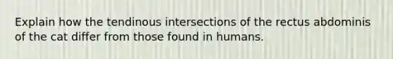 Explain how the tendinous intersections of the rectus abdominis of the cat differ from those found in humans.