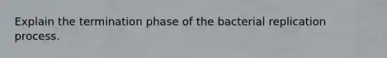 Explain the termination phase of the bacterial replication process.