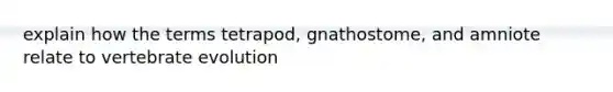 explain how the terms tetrapod, gnathostome, and amniote relate to vertebrate evolution