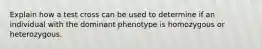 Explain how a test cross can be used to determine if an individual with the dominant phenotype is homozygous or heterozygous.