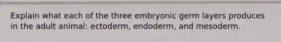 Explain what each of the three embryonic germ layers produces in the adult animal: ectoderm, endoderm, and mesoderm.