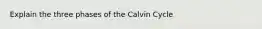 Explain the three phases of the Calvin Cycle