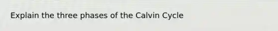 Explain the three phases of the Calvin Cycle