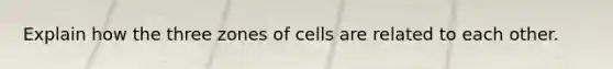 Explain how the three zones of cells are related to each other.