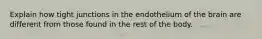 Explain how tight junctions in the endothelium of the brain are different from those found in the rest of the body.