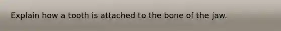 Explain how a tooth is attached to the bone of the jaw.