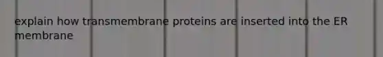 explain how transmembrane proteins are inserted into the ER membrane