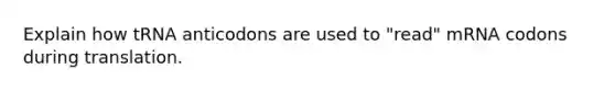 Explain how tRNA anticodons are used to "read" mRNA codons during translation.