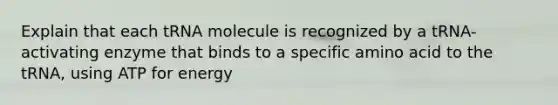 Explain that each tRNA molecule is recognized by a tRNA-activating enzyme that binds to a specific amino acid to the tRNA, using ATP for energy