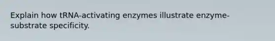 Explain how tRNA-activating enzymes illustrate enzyme-substrate specificity.