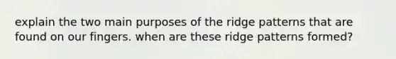 explain the two main purposes of the ridge patterns that are found on our fingers. when are these ridge patterns formed?