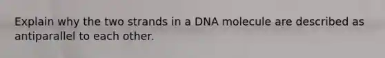 Explain why the two strands in a DNA molecule are described as antiparallel to each other.