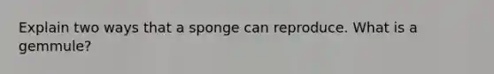Explain two ways that a sponge can reproduce. What is a gemmule?