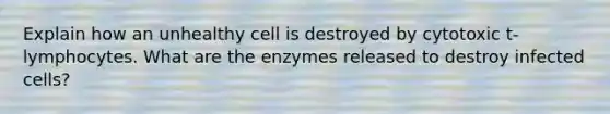 Explain how an unhealthy cell is destroyed by cytotoxic t-lymphocytes. What are the enzymes released to destroy infected cells?