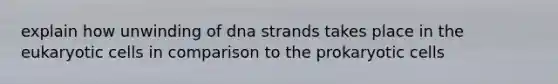 explain how unwinding of dna strands takes place in the eukaryotic cells in comparison to the prokaryotic cells