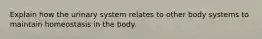 Explain how the urinary system relates to other body systems to maintain homeostasis in the body.