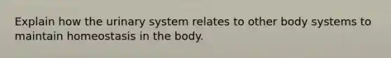 Explain how the urinary system relates to other body systems to maintain homeostasis in the body.