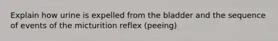 Explain how urine is expelled from the bladder and the sequence of events of the micturition reflex (peeing)