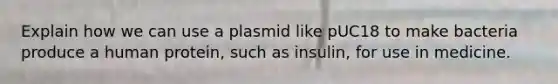 Explain how we can use a plasmid like pUC18 to make bacteria produce a human protein, such as insulin, for use in medicine.