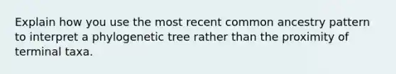 Explain how you use the most recent common ancestry pattern to interpret a phylogenetic tree rather than the proximity of terminal taxa.