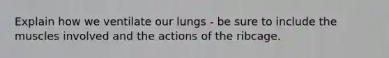 Explain how we ventilate our lungs - be sure to include the muscles involved and the actions of the ribcage.