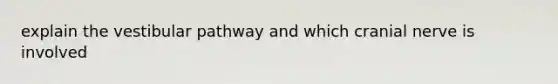 explain the vestibular pathway and which cranial nerve is involved