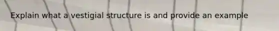 Explain what a vestigial structure is and provide an example