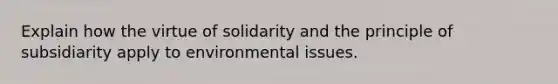 Explain how the virtue of solidarity and the principle of subsidiarity apply to environmental issues.