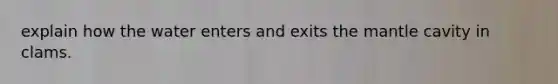 explain how the water enters and exits the mantle cavity in clams.
