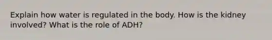 Explain how water is regulated in the body. How is the kidney involved? What is the role of ADH?