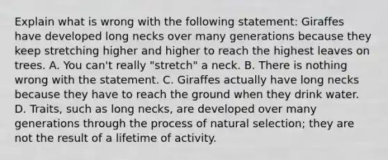 Explain what is wrong with the following statement: Giraffes have developed long necks over many generations because they keep stretching higher and higher to reach the highest leaves on trees. A. You can't really "stretch" a neck. B. There is nothing wrong with the statement. C. Giraffes actually have long necks because they have to reach the ground when they drink water. D. Traits, such as long necks, are developed over many generations through the process of natural selection; they are not the result of a lifetime of activity.