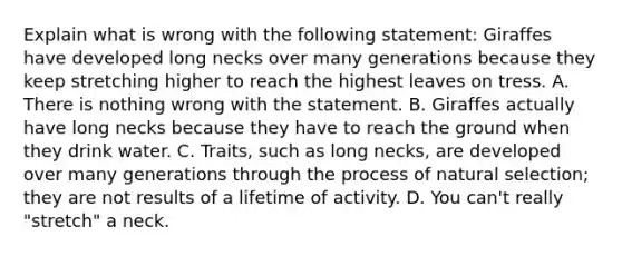 Explain what is wrong with the following statement: Giraffes have developed long necks over many generations because they keep stretching higher to reach the highest leaves on tress. A. There is nothing wrong with the statement. B. Giraffes actually have long necks because they have to reach the ground when they drink water. C. Traits, such as long necks, are developed over many generations through the process of natural selection; they are not results of a lifetime of activity. D. You can't really "stretch" a neck.