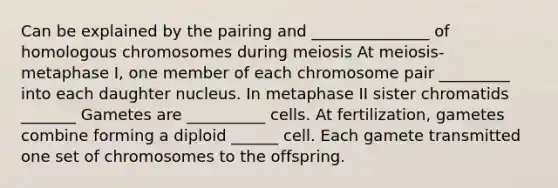 Can be explained by the pairing and _______________ of homologous chromosomes during meiosis At meiosis- metaphase I, one member of each chromosome pair _________ into each daughter nucleus. In metaphase II sister chromatids _______ Gametes are __________ cells. At fertilization, gametes combine forming a diploid ______ cell. Each gamete transmitted one set of chromosomes to the offspring.