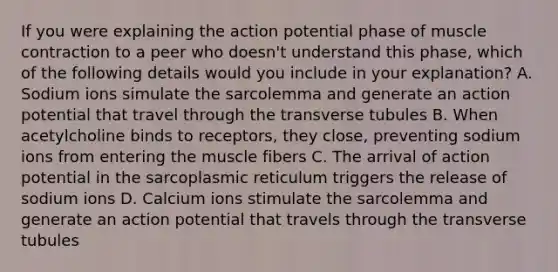 If you were explaining the action potential phase of muscle contraction to a peer who doesn't understand this phase, which of the following details would you include in your explanation? A. Sodium ions simulate the sarcolemma and generate an action potential that travel through the transverse tubules B. When acetylcholine binds to receptors, they close, preventing sodium ions from entering the muscle fibers C. The arrival of action potential in the sarcoplasmic reticulum triggers the release of sodium ions D. Calcium ions stimulate the sarcolemma and generate an action potential that travels through the transverse tubules