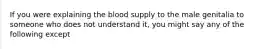 If you were explaining the blood supply to the male genitalia to someone who does not understand it, you might say any of the following except