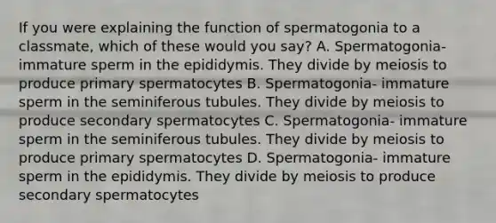 If you were explaining the function of spermatogonia to a classmate, which of these would you say? A. Spermatogonia- immature sperm in the epididymis. They divide by meiosis to produce primary spermatocytes B. Spermatogonia- immature sperm in the seminiferous tubules. They divide by meiosis to produce secondary spermatocytes C. Spermatogonia- immature sperm in the seminiferous tubules. They divide by meiosis to produce primary spermatocytes D. Spermatogonia- immature sperm in the epididymis. They divide by meiosis to produce secondary spermatocytes