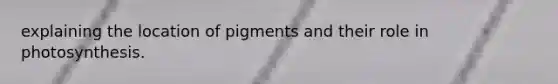 explaining the location of pigments and their role in photosynthesis.