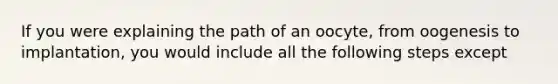 If you were explaining the path of an oocyte, from oogenesis to implantation, you would include all the following steps except