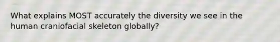 What explains MOST accurately the diversity we see in the human craniofacial skeleton globally?