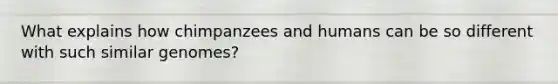 What explains how chimpanzees and humans can be so different with such similar genomes?