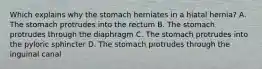 Which explains why the stomach herniates in a hiatal hernia? A. The stomach protrudes into the rectum B. The stomach protrudes through the diaphragm C. The stomach protrudes into the pyloric sphincter D. The stomach protrudes through the inguinal canal