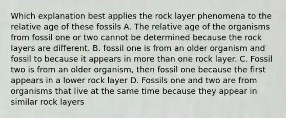 Which explanation best applies the rock layer phenomena to the relative age of these fossils A. The relative age of the organisms from fossil one or two cannot be determined because the rock layers are different. B. fossil one is from an older organism and fossil to because it appears in more than one rock layer. C. Fossil two is from an older organism, then fossil one because the first appears in a lower rock layer D. Fossils one and two are from organisms that live at the same time because they appear in similar rock layers