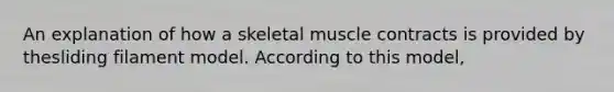 An explanation of how a skeletal muscle contracts is provided by thesliding filament model. According to this model,