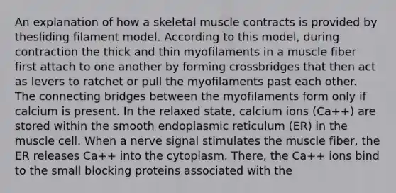 An explanation of how a skeletal muscle contracts is provided by thesliding filament model. According to this model, during contraction the thick and thin myofilaments in a muscle fiber first attach to one another by forming crossbridges that then act as levers to ratchet or pull the myofilaments past each other. The connecting bridges between the myofilaments form only if calcium is present. In the relaxed state, calcium ions (Ca++) are stored within the smooth endoplasmic reticulum (ER) in the muscle cell. When a nerve signal stimulates the muscle fiber, the ER releases Ca++ into the cytoplasm. There, the Ca++ ions bind to the small blocking proteins associated with the