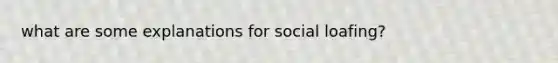 what are some explanations for social loafing?