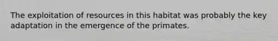The exploitation of resources in this habitat was probably the key adaptation in the emergence of the primates.